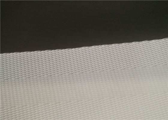 Paper Industry 50m 100% Polyester Sludge Dewatering Belt Wear Resistant